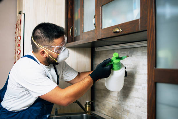 Best Flea Control Services  in Horseshoe Bend, AR