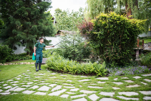 Best Best Pest Control Companies  in Horseshoe Bend, AR