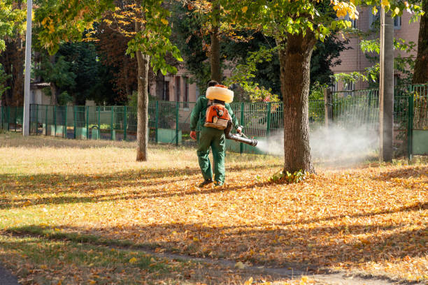 Best Residential Pest Control  in Horseshoe Bend, AR